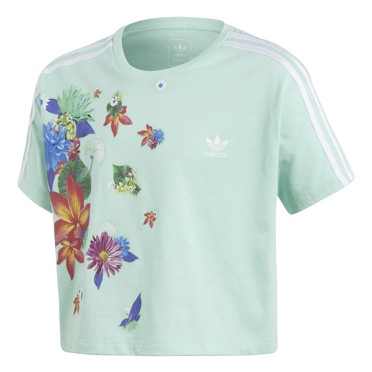 Adidas Originals Junior Graphic Spring Cropped (Easy Green)