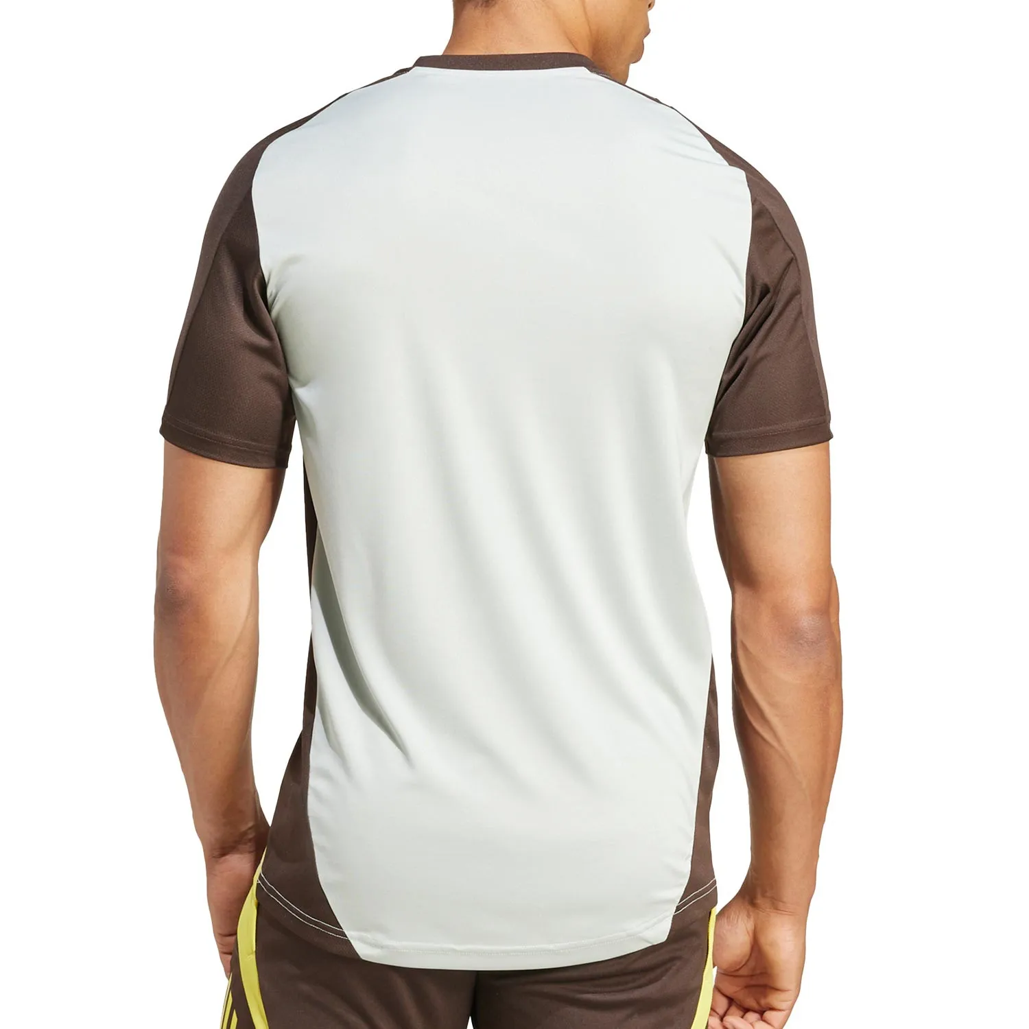Camiseta adidas Juventus entrenamiento UCL