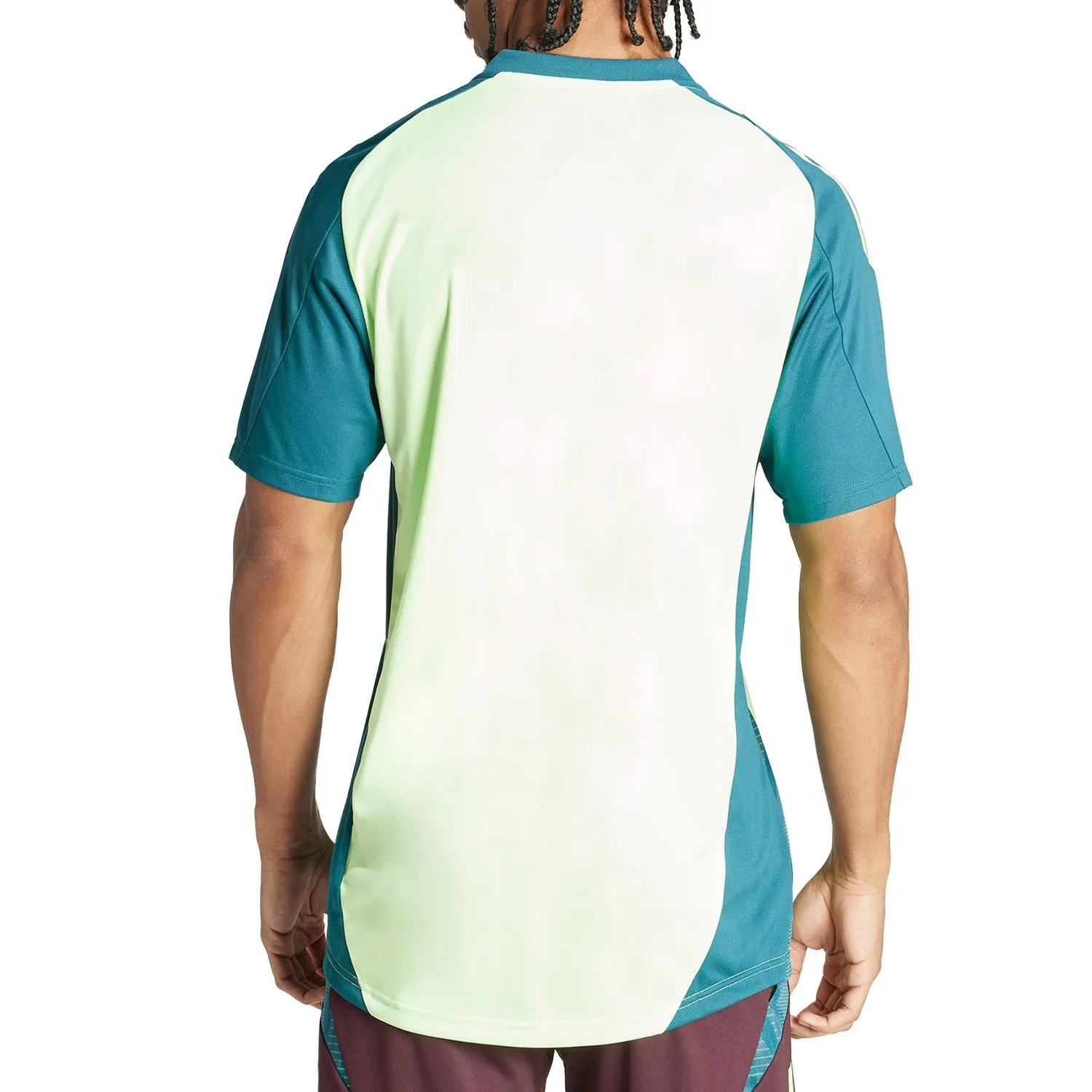 Camiseta adidas México entrenamiento 