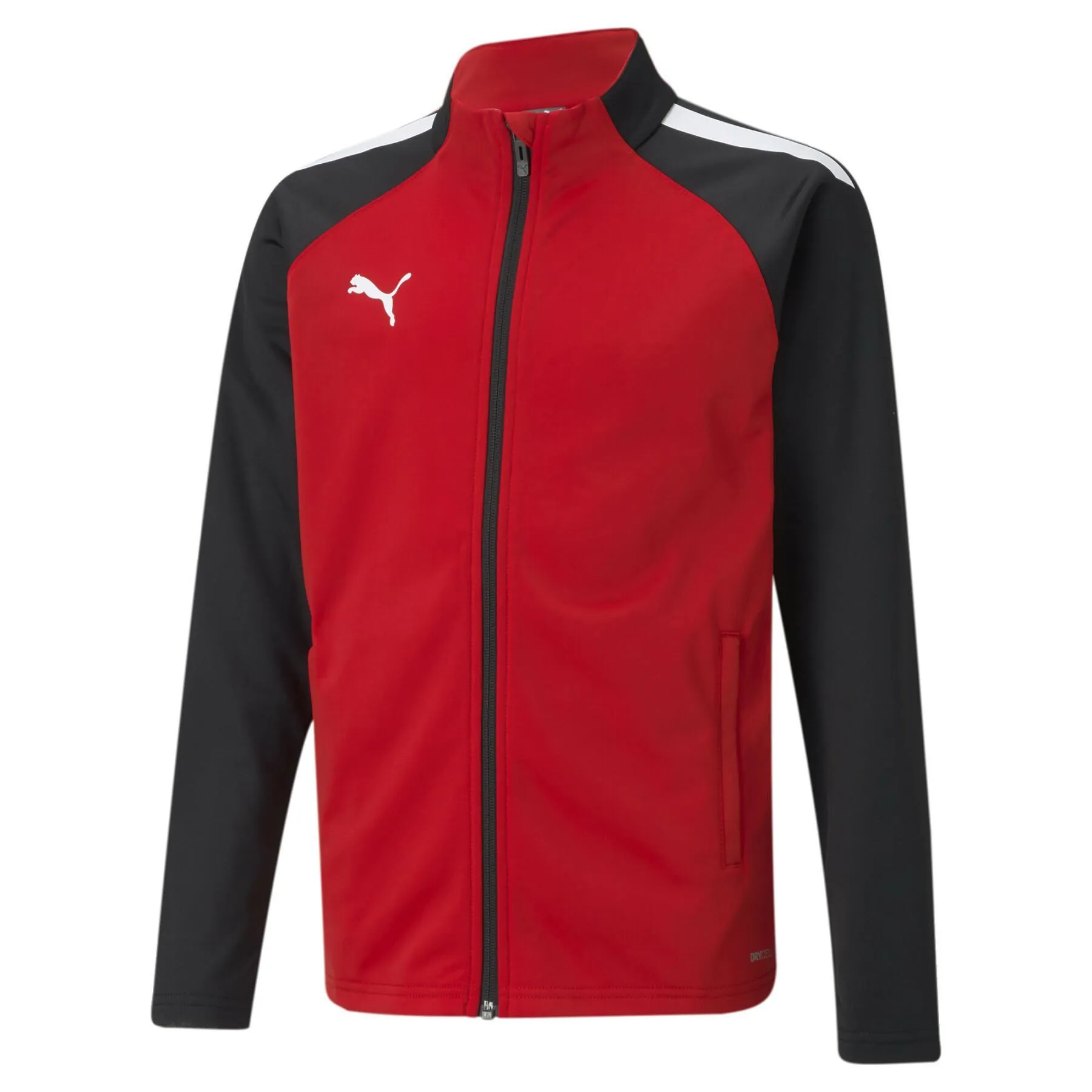 Chaqueta niños Puma Team Liga Training