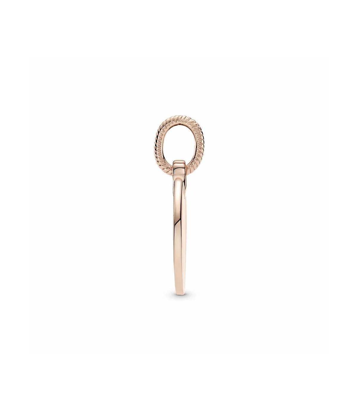 COLGANTE PANDORA ROSE ETIQUETA REDONDA GRABABLE  388610C00