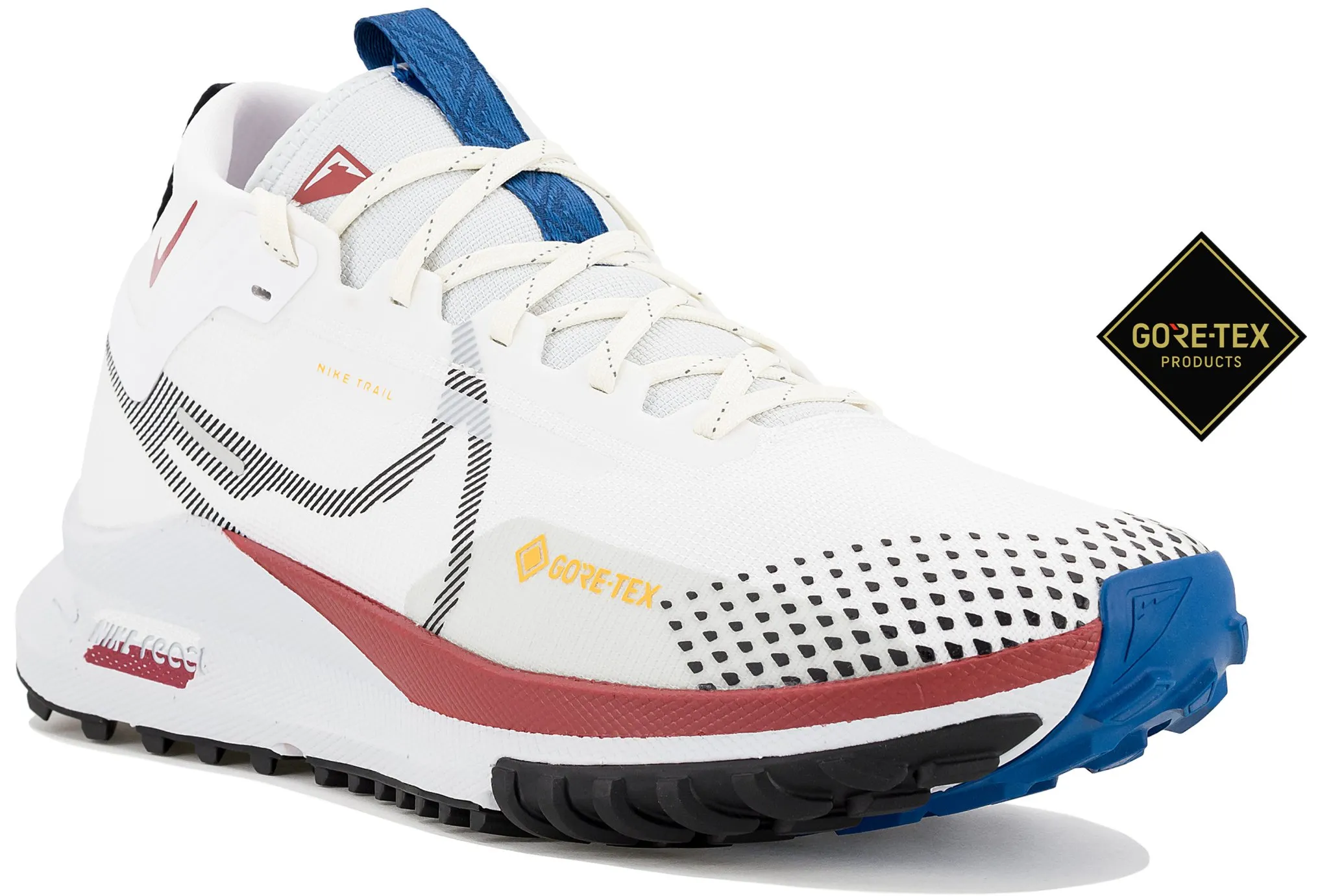 NIKE PEGASUS TRAIL 4 GORETEX