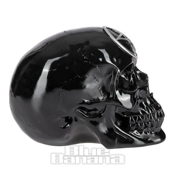 Némesis Now Black Magic Skull Ornament (19.5 Cm)