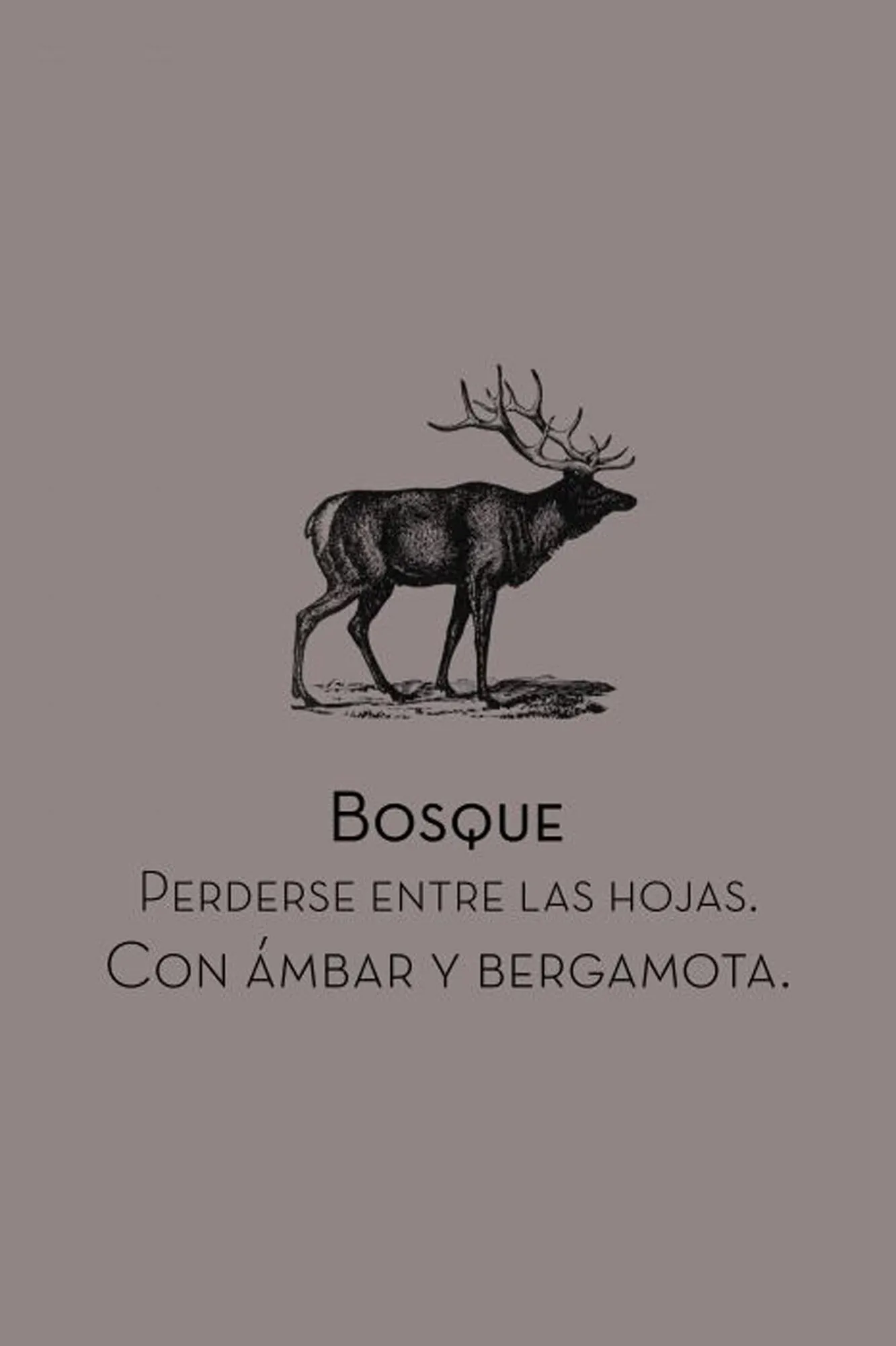 Textura Fragancia tejidos bosque